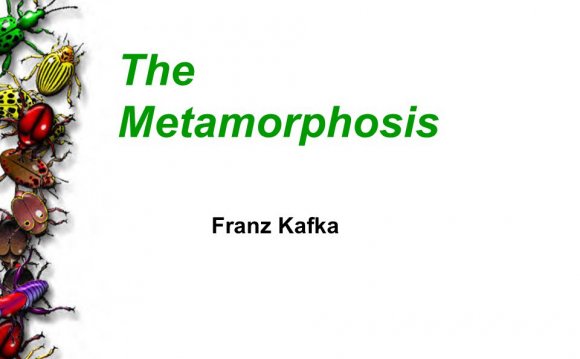What is the Metamorphosis?