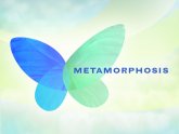 The Metamorphosis Online