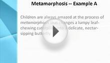 Metamorphosis Definition - What Does Metamorphosis Mean?