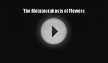 [PDF Download] The Metamorphosis of Flowers [Download] Online