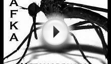 The Metamorphosis by Franz Kafka (Free Audio Book in